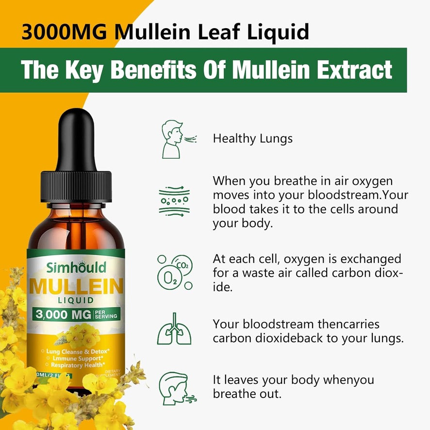 2 Pack Mullein Tincture - 3000mg Organic Mullein Leaf Extract for Lung Detoxification and Respiratory Lung Health, Natural Supplement, Digestive Support and Immune Booster, Vegetarian, 4 oz.