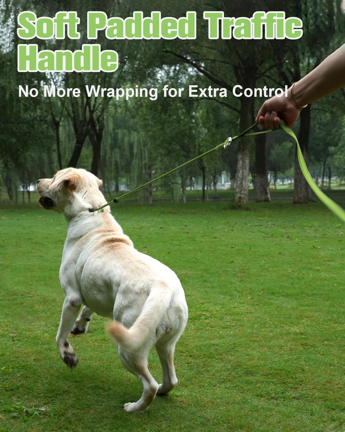 Aiyuda Tangle-Free Slip Lead for Dogs with Padded Traffic Handle, Reflective Dog Training Leash, 6ft Dog Leads for Walking, Double Handle Leash for Puppy, Small, Medium Dogs Under 40 LBS, Green