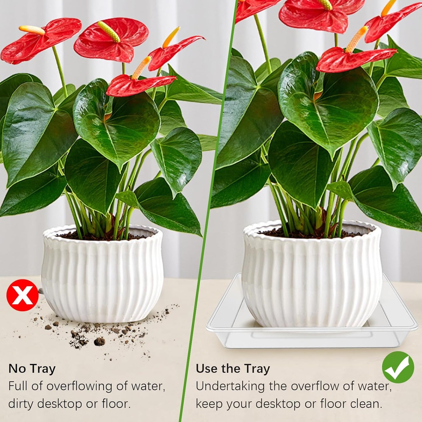 TAQIXI 6 Pack Square Clear Plant Saucer